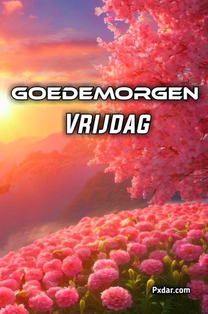 50plusser.nl Goedemorgen Vrijdag