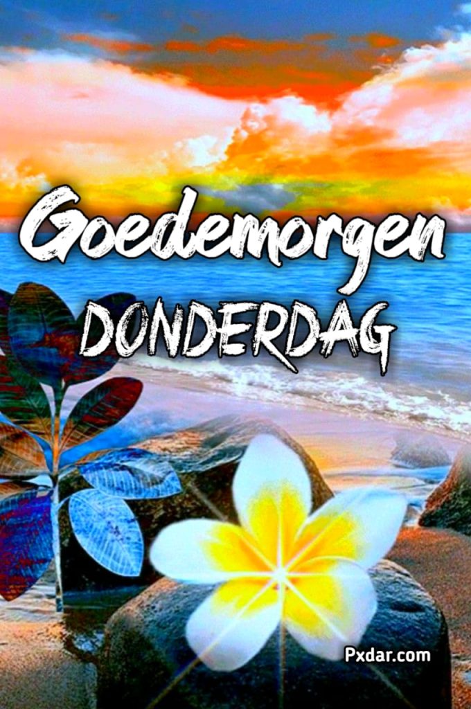 Allemaal Een Goedemorgen En Een Fijne Donderdag