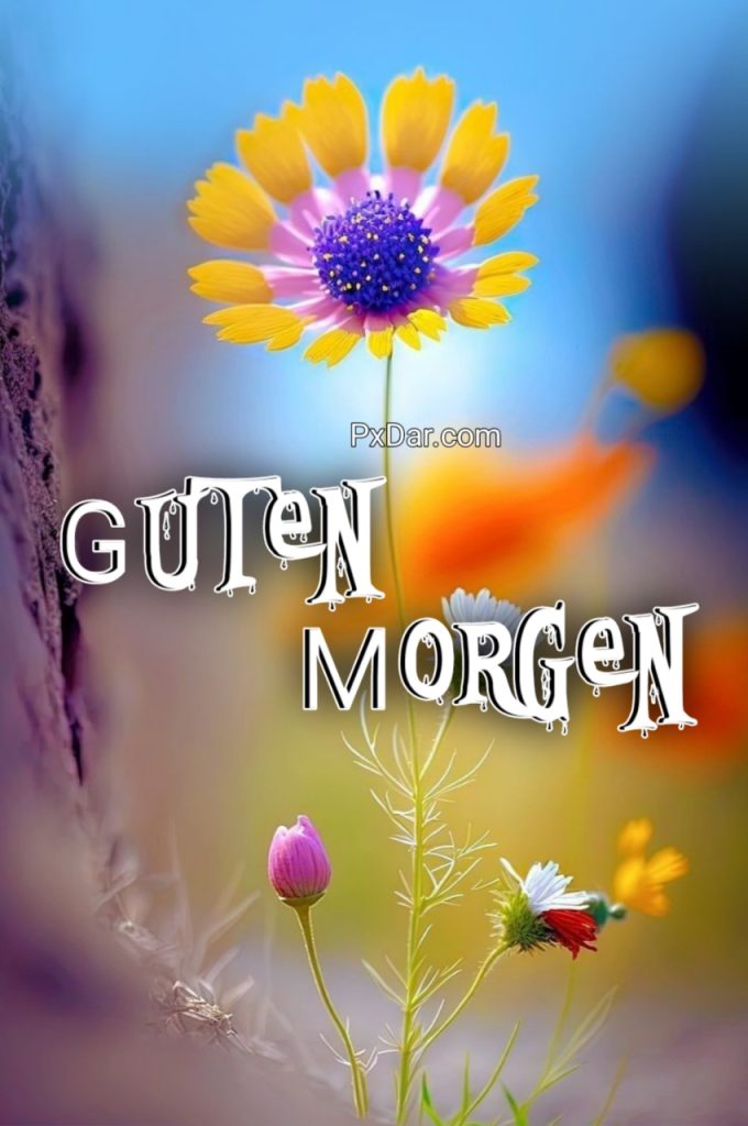 Bilder Guten Morgen Mein Schatz Ich Liebe Dich