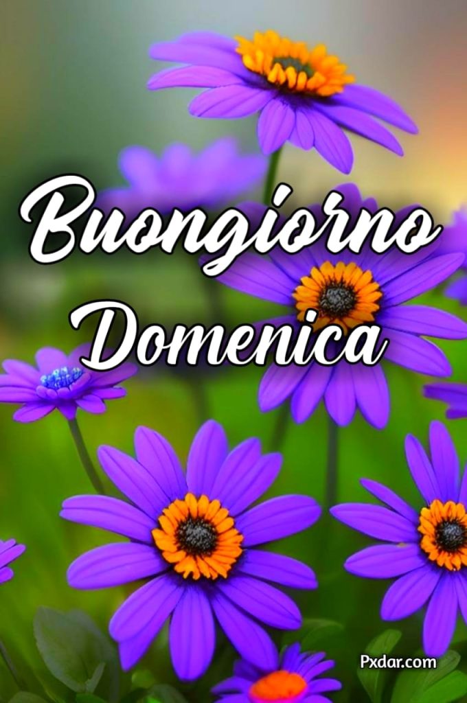 Buon Giorno Buona Domenica