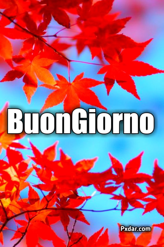 Buon Venerdì Autunnale