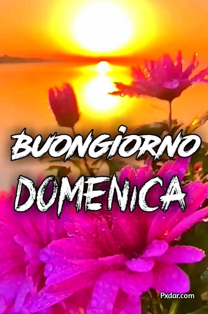 Buona Domenica Gif Nuove 2024