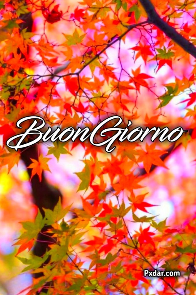 Buona Giornata Autunnale