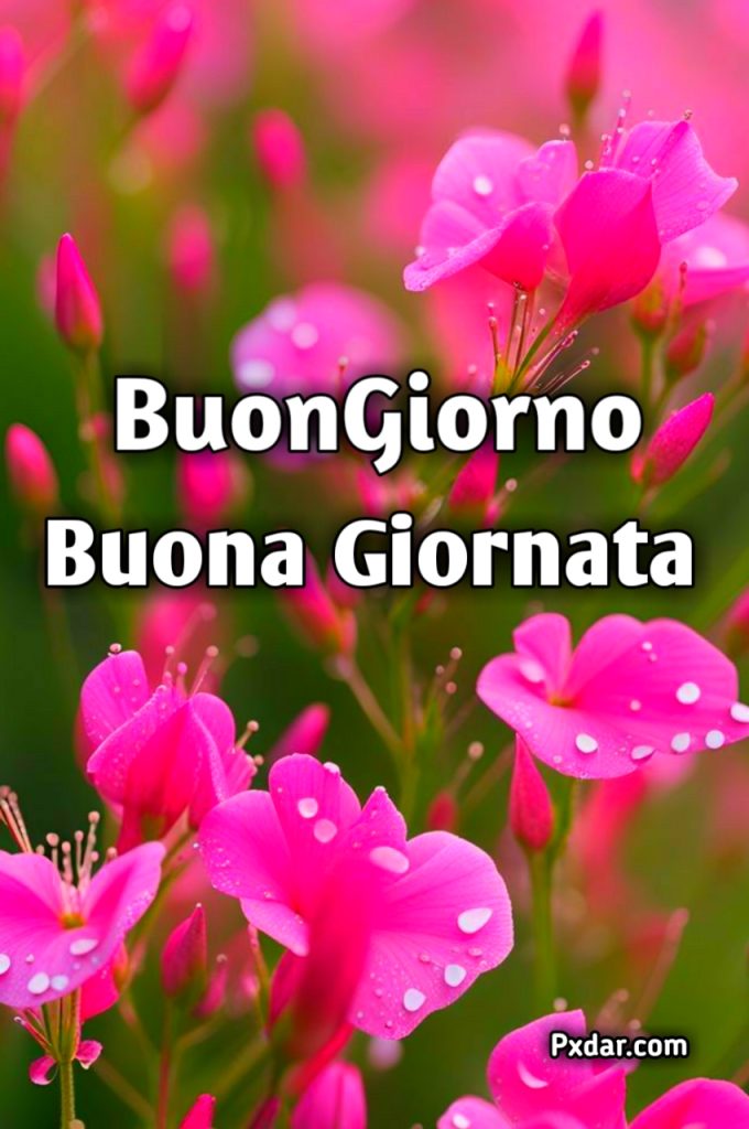 Buona Giornata Immagini Nuove