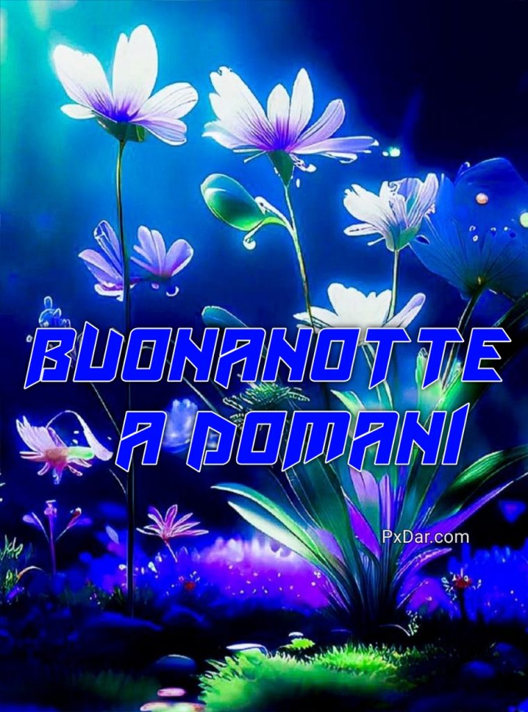 Buona Notte A Domani Foto Bellissime