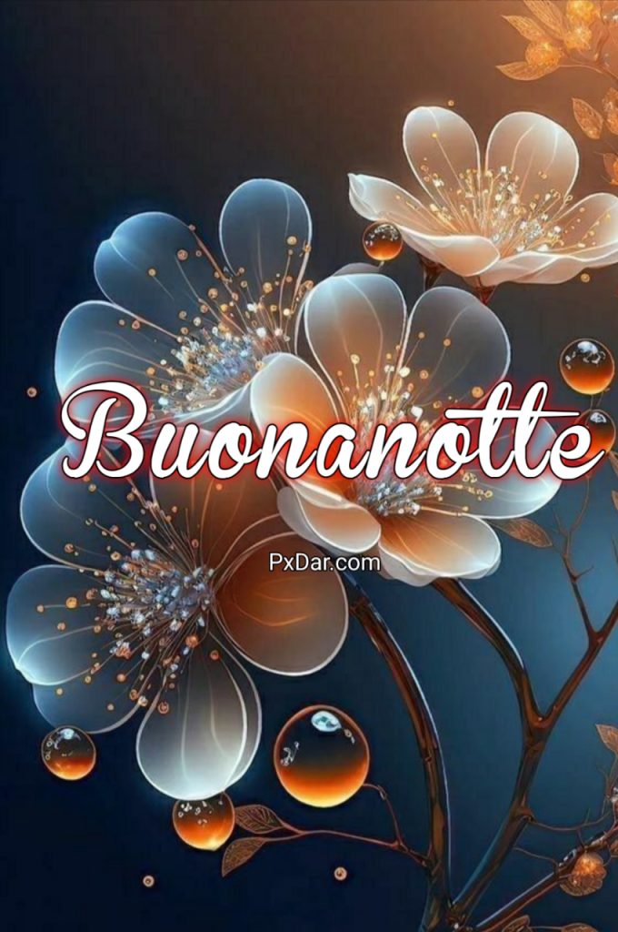 Buona Notte Con Affetto