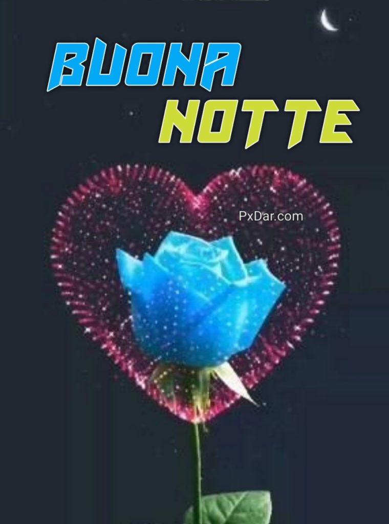 Buonanotte