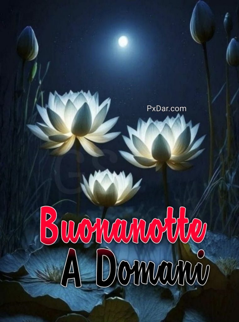 Buonanotte A Domani