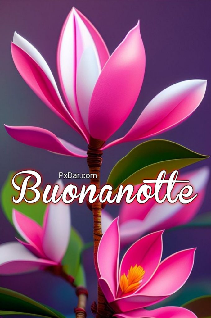 Buonanotte Con Amore E Affetto