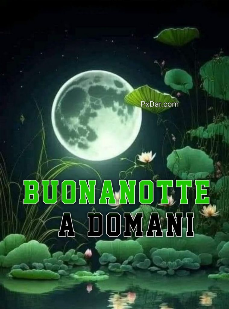 Buonanotte Immagini