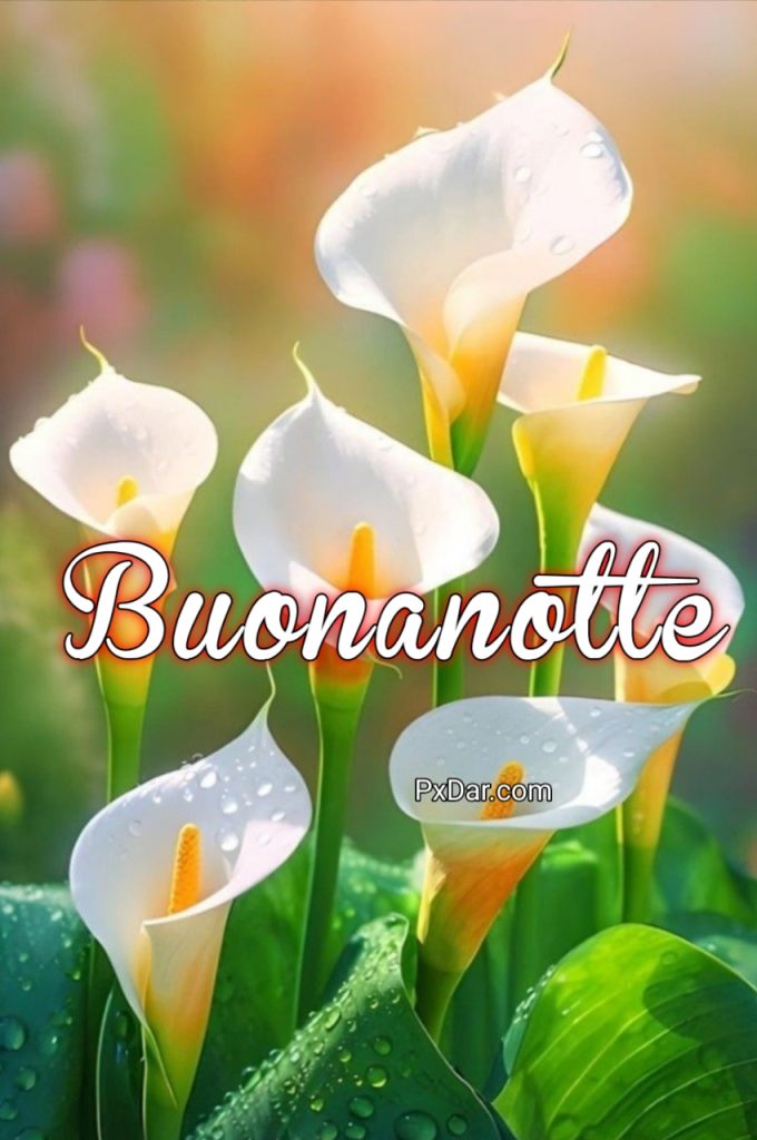 Buonanotte Un Abbraccio A Domani