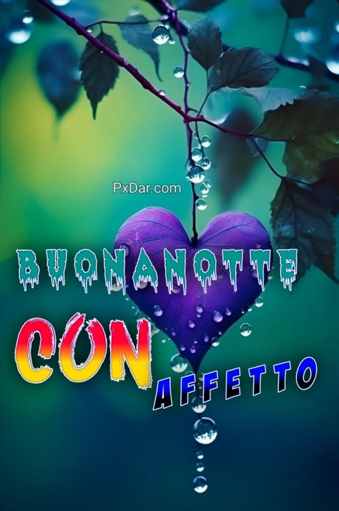 Buonanotte Un Abbraccio Con Affetto