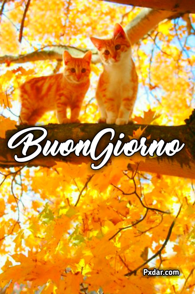 Buongiorno Autunnale Divertente