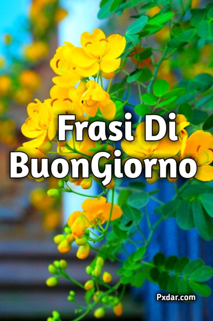 Buongiorno Bellissimi Frasi