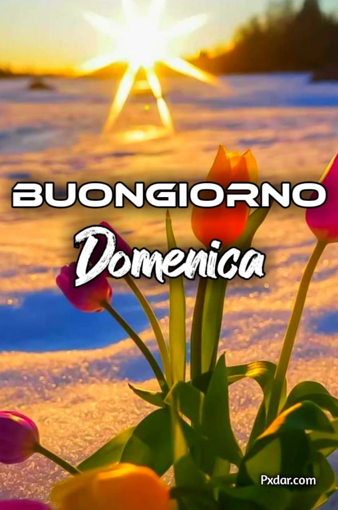 Buongiorno Buona Domenica Immagini Nuove 2024