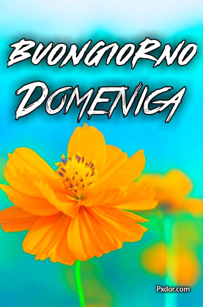 Buongiorno Buona Domenica Invernale Immagini Nuove