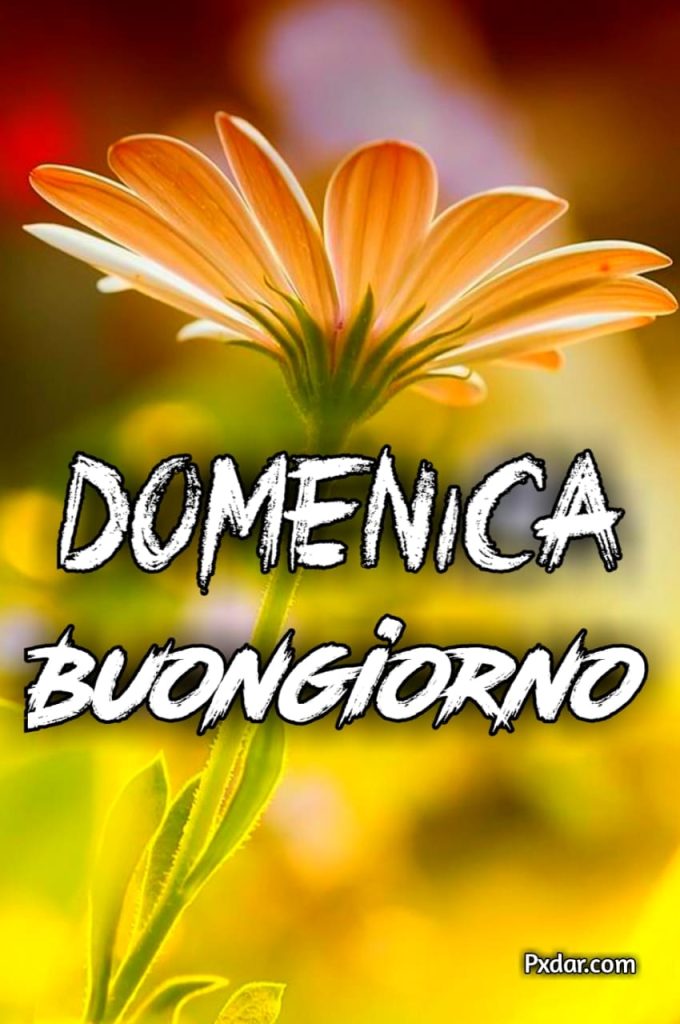 Buongiorno E Buona Domenica Immagini Nuove 2024