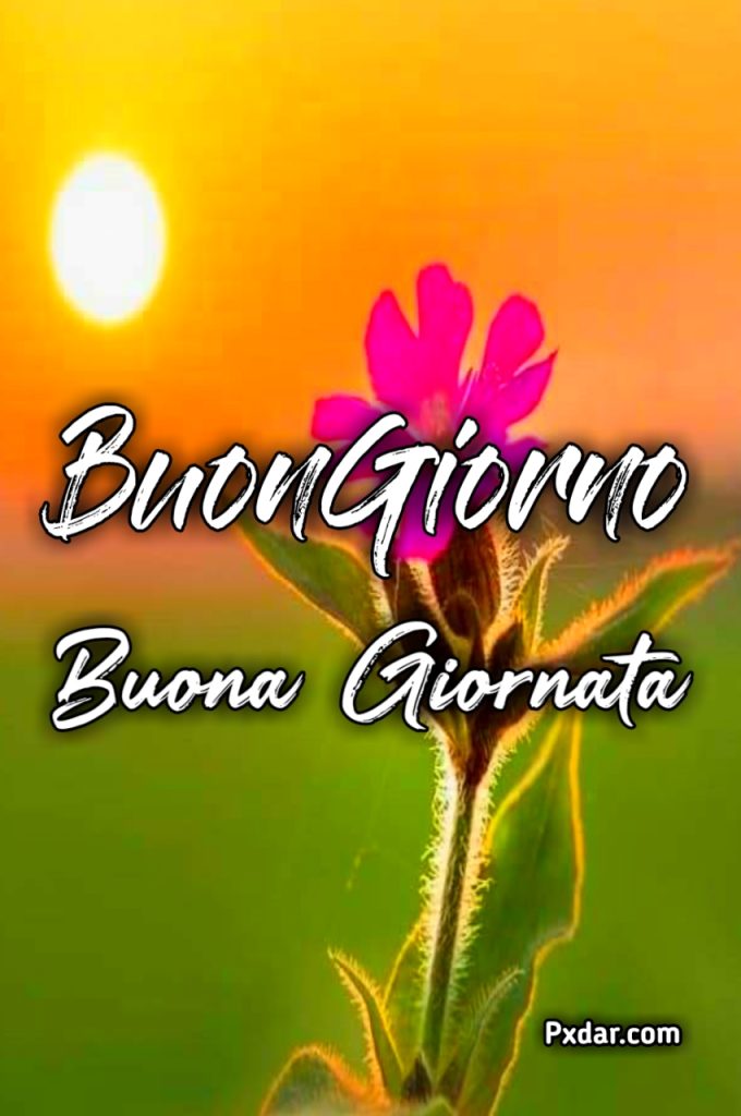 Buongiorno E Buona Giornata