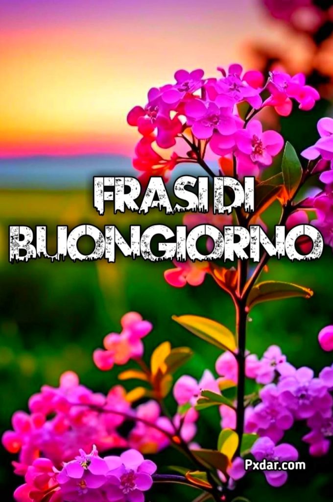 Buongiorno Frasi