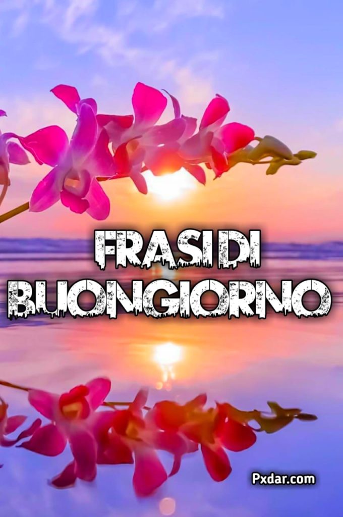 Buongiorno Frasi Nuove 2024 Gratis