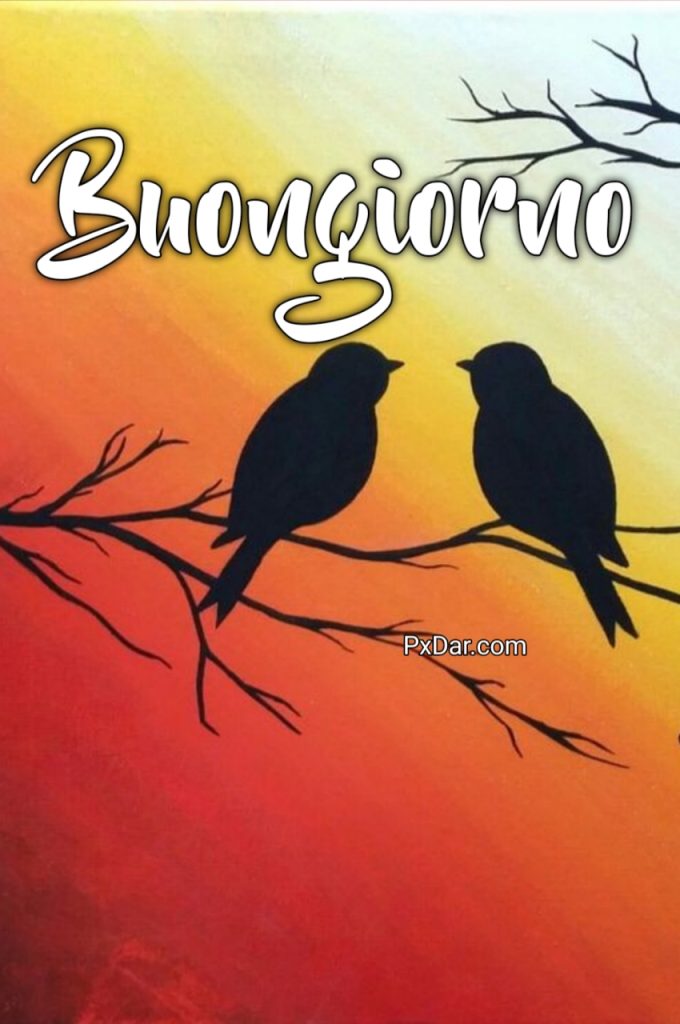 Buongiorno Immagini Nuove Gratis