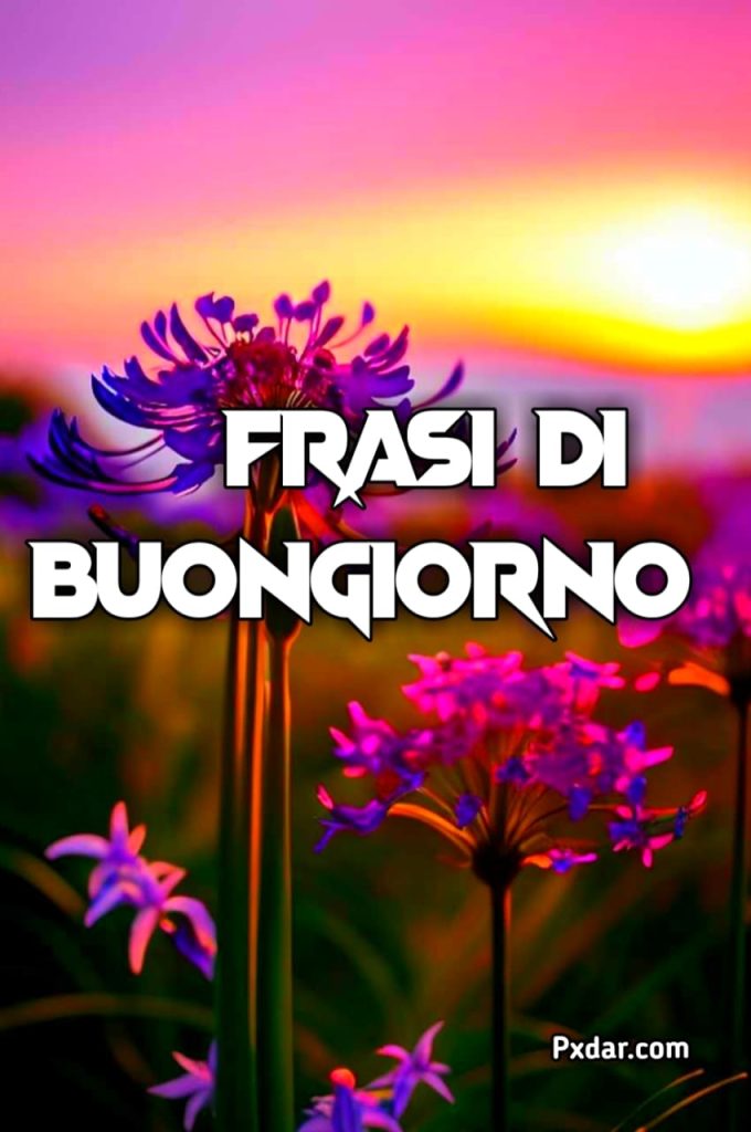 Buongiorno Raggio Di Sole Immagini E Frasi