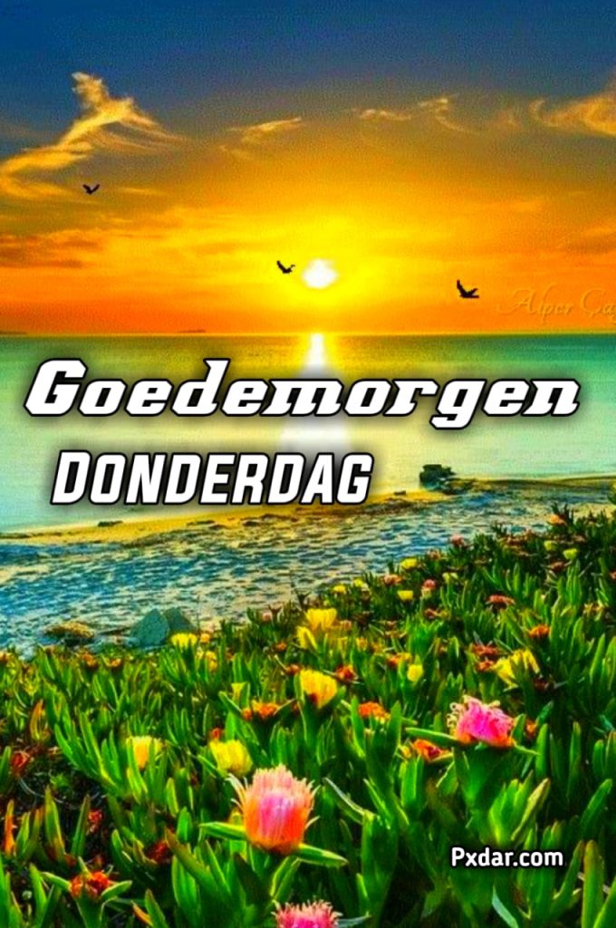 Donderdag Goedemorgen