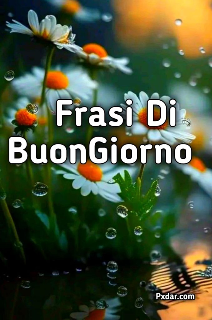 Frasi Del Buongiorno Divertenti