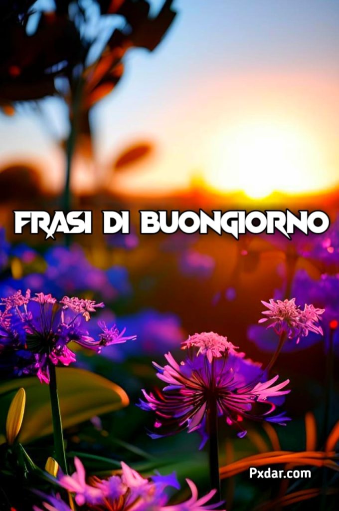 Frasi Di Buongiorno E Buona Domenica