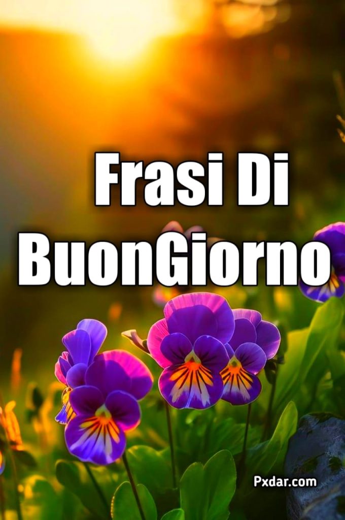 Frasi La Vita Di Tutto E Di Più Buongiorno