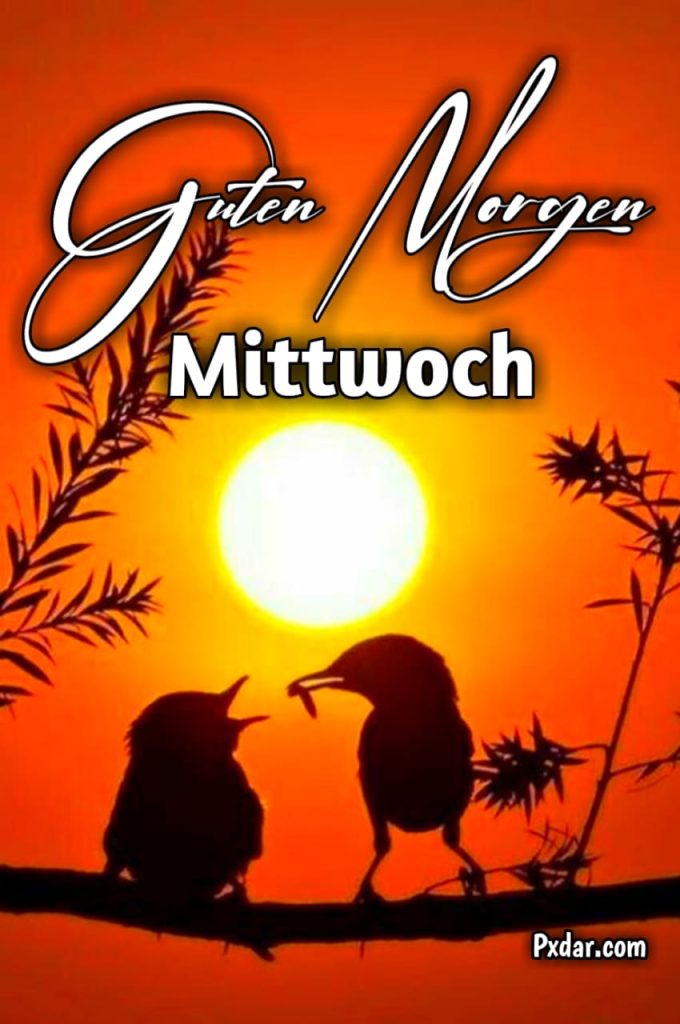 Freche Witzig Guten Morgen Mittwoch Lustig