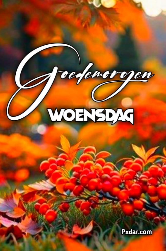 Goedemorgen Een Fijne Woensdag