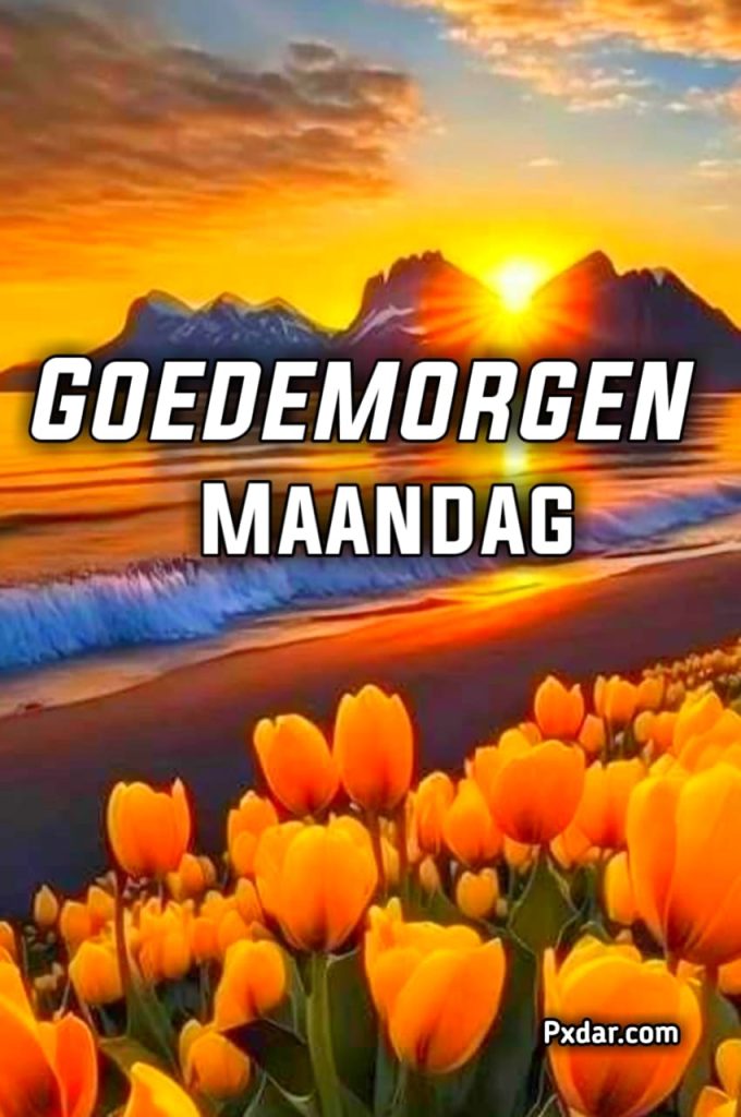 Goedemorgen Fijne Maandag