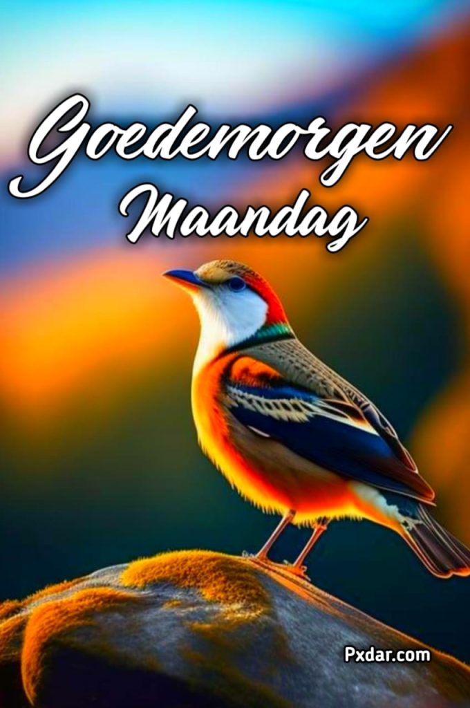 Goedemorgen Fijne Maandag Gif