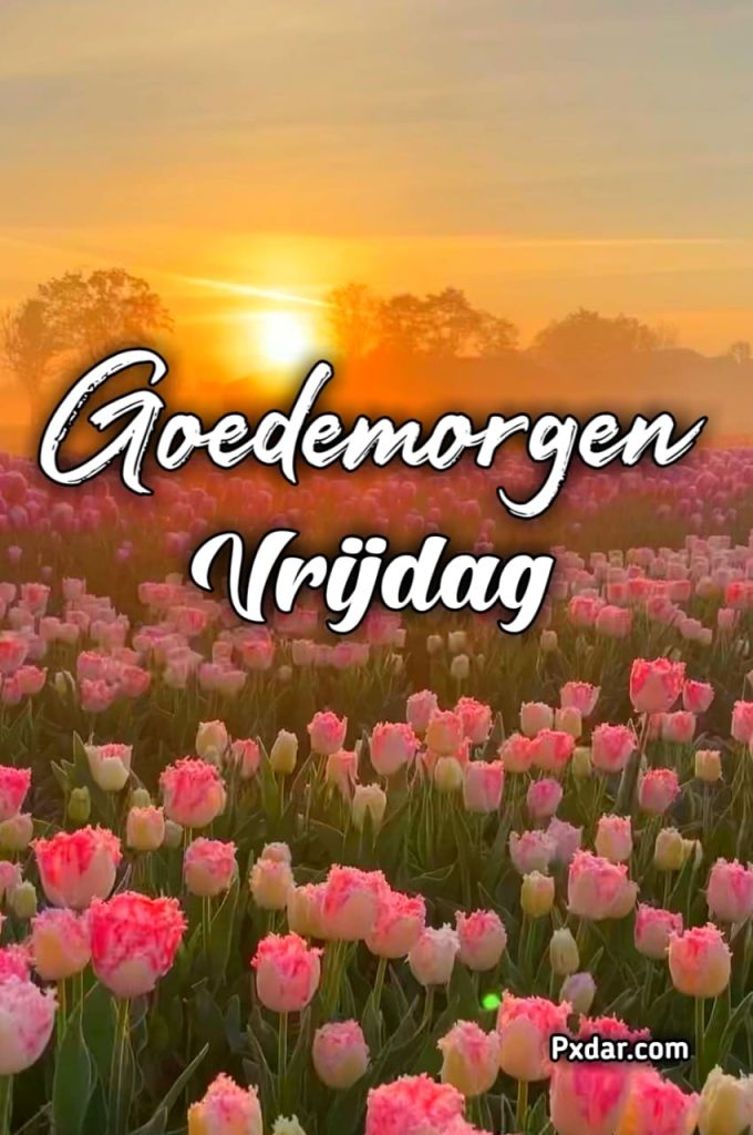 Goedemorgen Fijne Vrijdag Gif