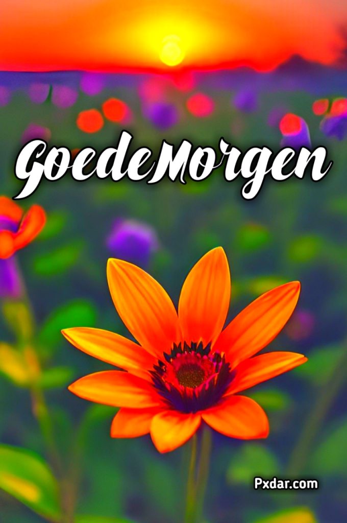 Goedemorgen Groet Donderdag