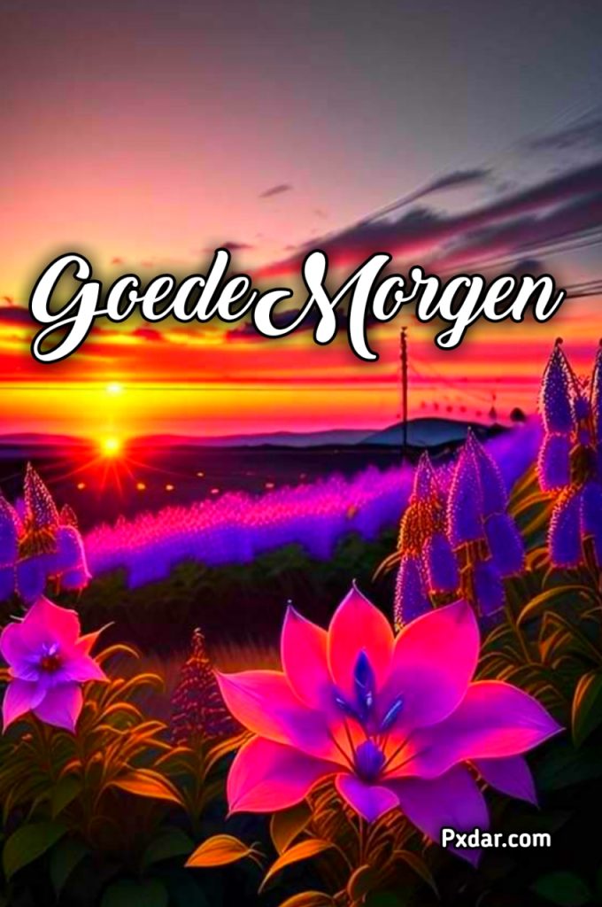 Goedemorgen Groet Woensdag