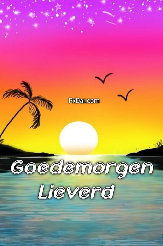 Goedemorgen Lieverd Tekst