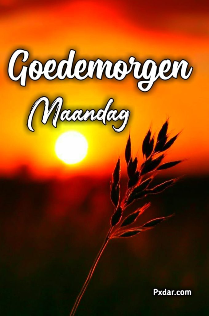 Goedemorgen Maandag Afbeeldingen