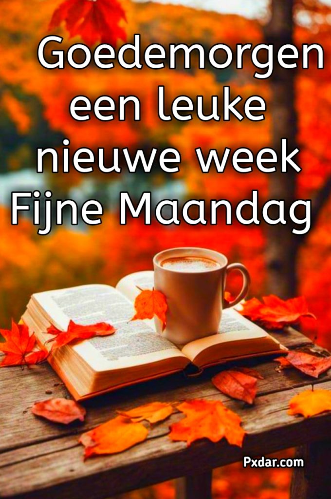 Goedemorgen Maandag Een Nieuwe Week