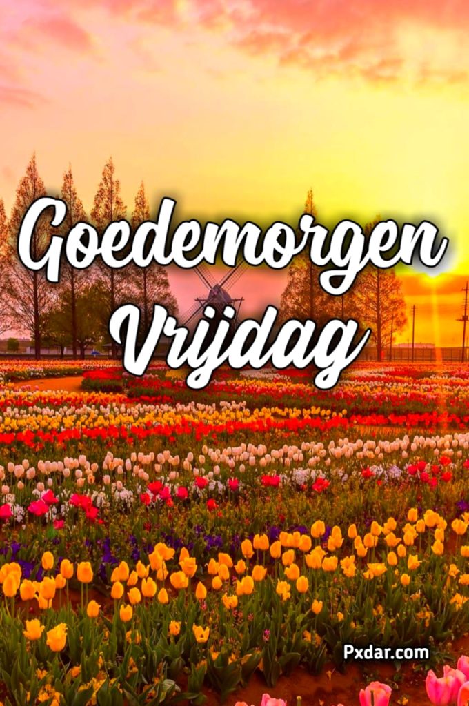 Goedemorgen Vrijdag Liefde