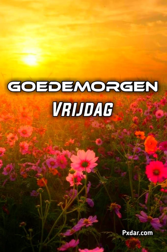 Goedemorgen Vrijdag Quotes