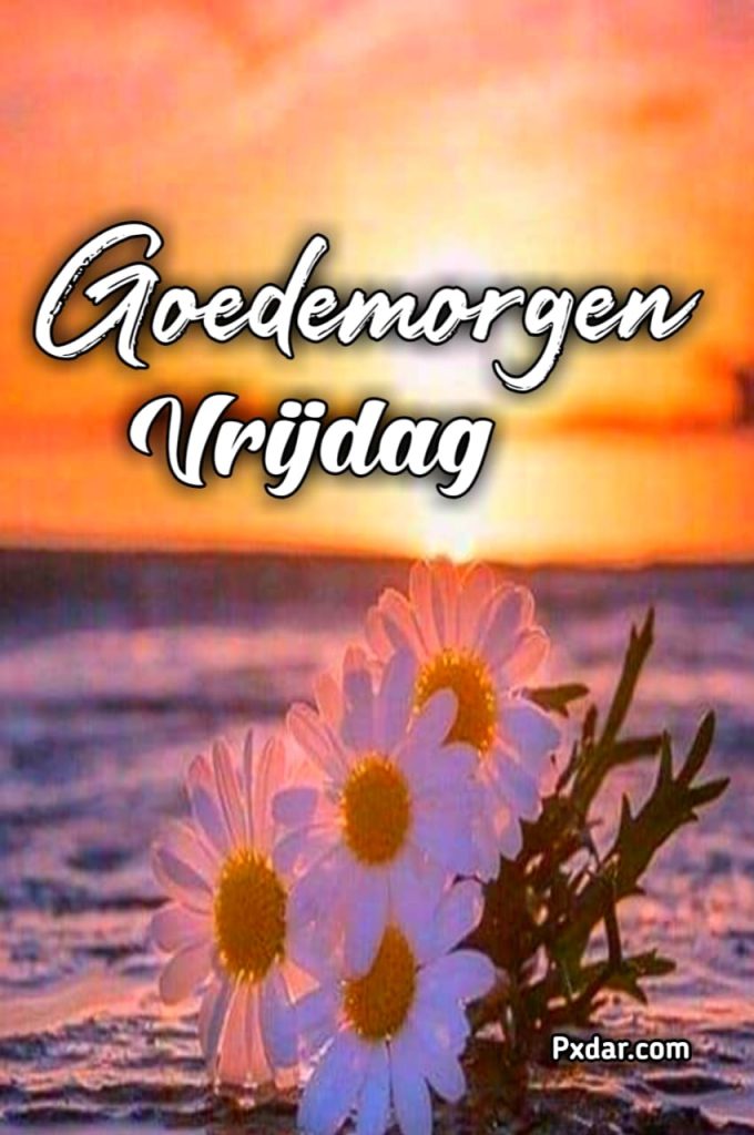 Goedemorgen Vrijdag Weekend