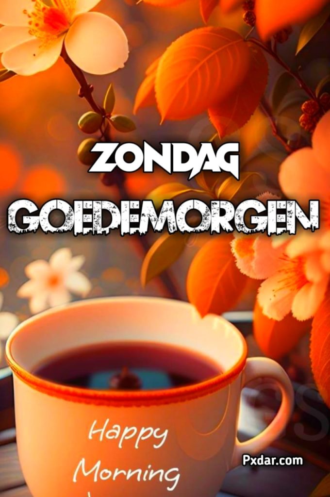 Goedemorgen Zondag Zon