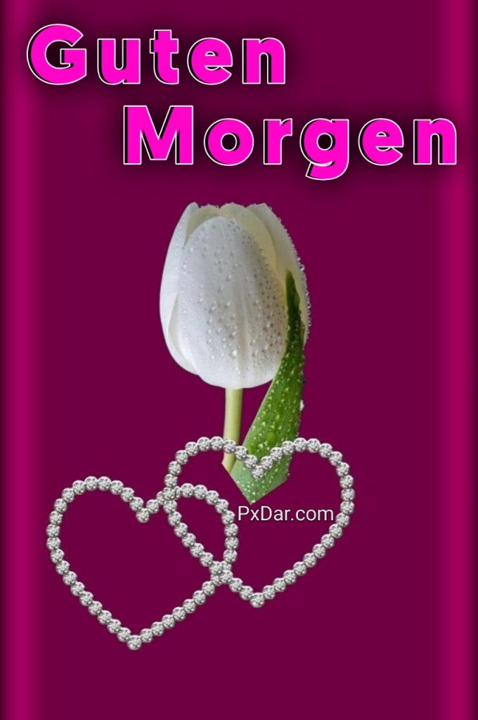 Guten Morgen Bild Liebe