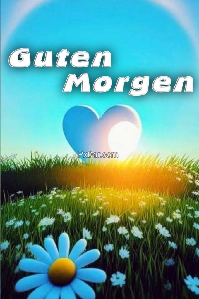 Guten Morgen Freitag Bilder Kostenlos Whatsapp