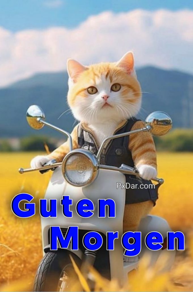 Guten Morgen Lustig Gif