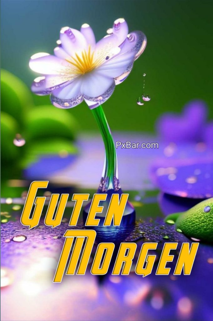 Guten Morgen Mittwoch Bilder Kostenlos