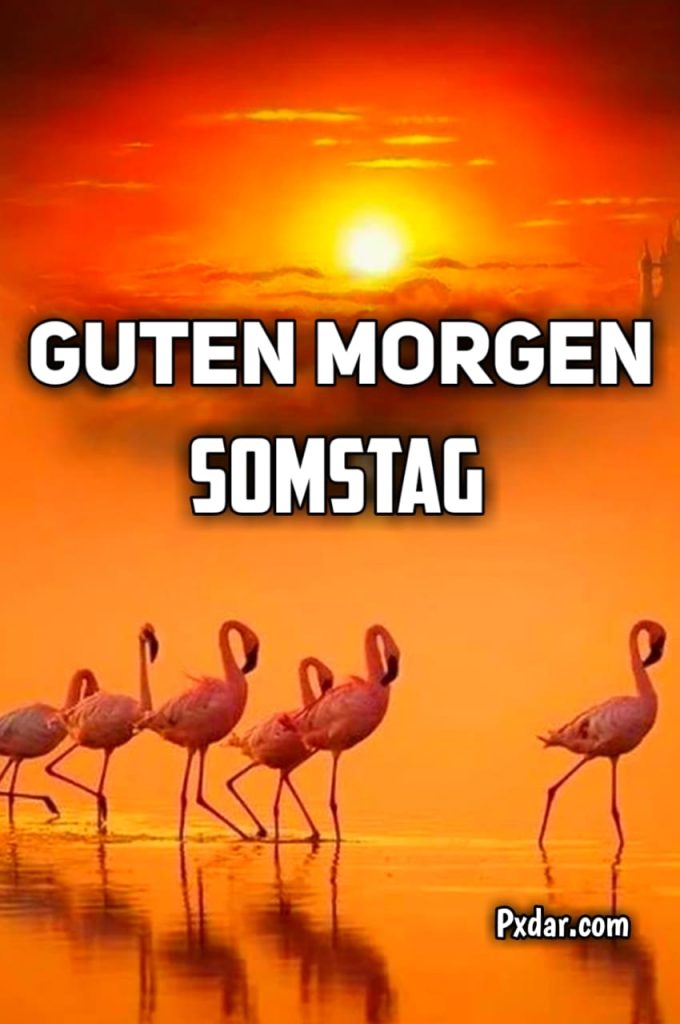 Guten Morgen Samstag Bilder Kostenlos