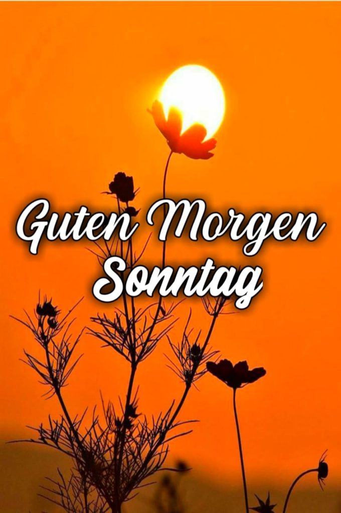 Guten Morgen Schöner Sonntag